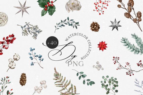 Watercolor Winter Christmas Flower DIY Illustrations